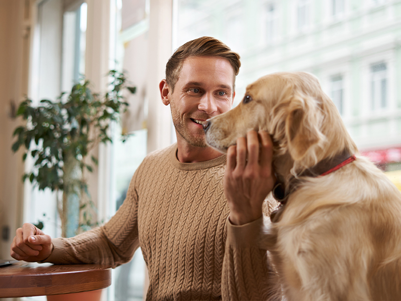 Vai de férias… e o seu cão ou gato está protegido?