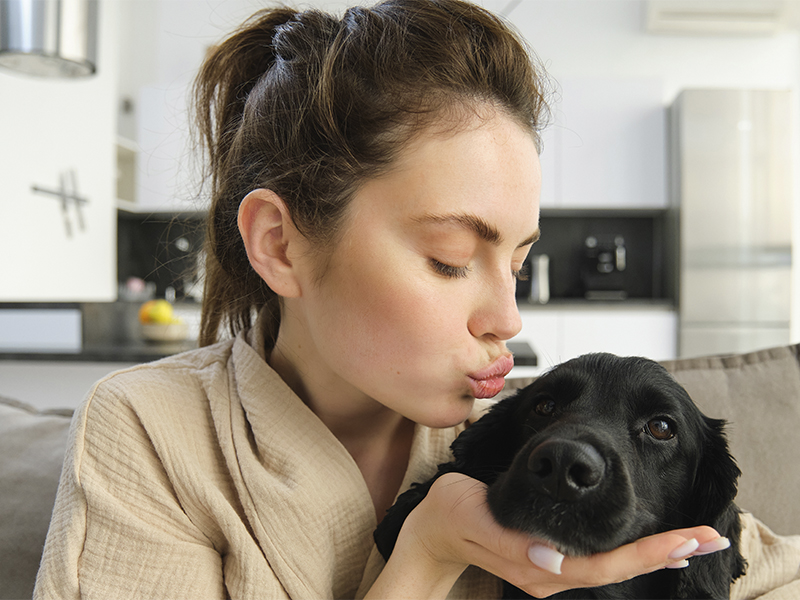 Seguro para Animais Domésticos: proteger quem faz parte da família