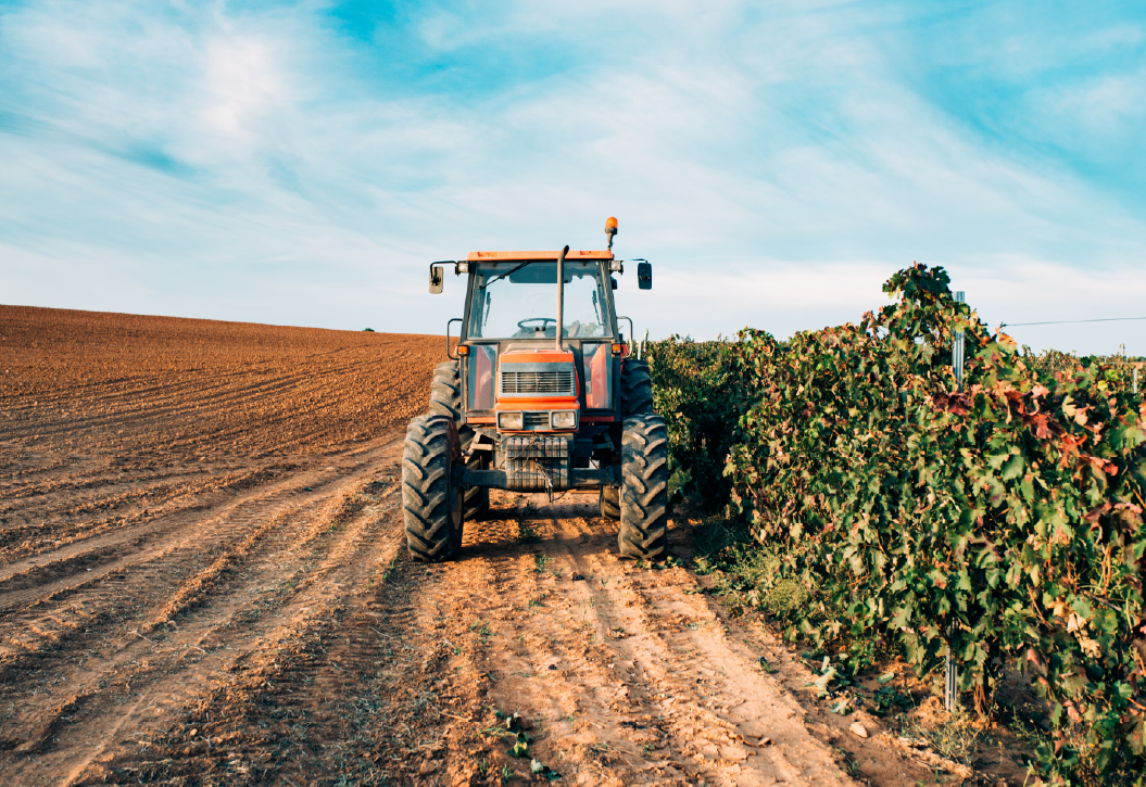 SEGUROS AGRICOLAS E DE COLHEITAS SABSEG