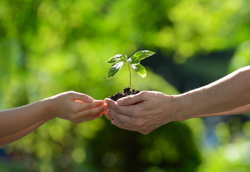 SEGURO DE RESPONSABILIDADE AMBIENTAL SABSEG