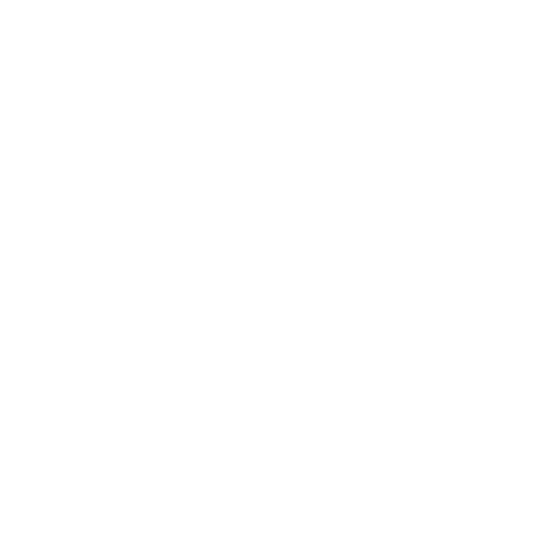 SERVIÇOS SOCIAIS