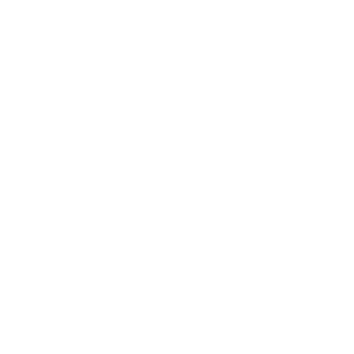 SSGNR